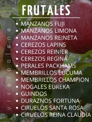 ÁRBOLES FRUTALES